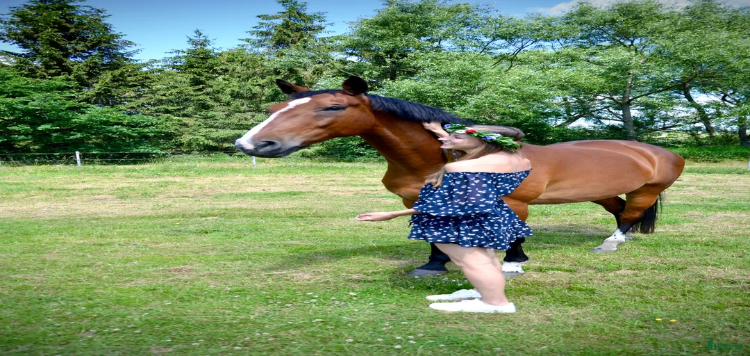 Galleribild {{count}}