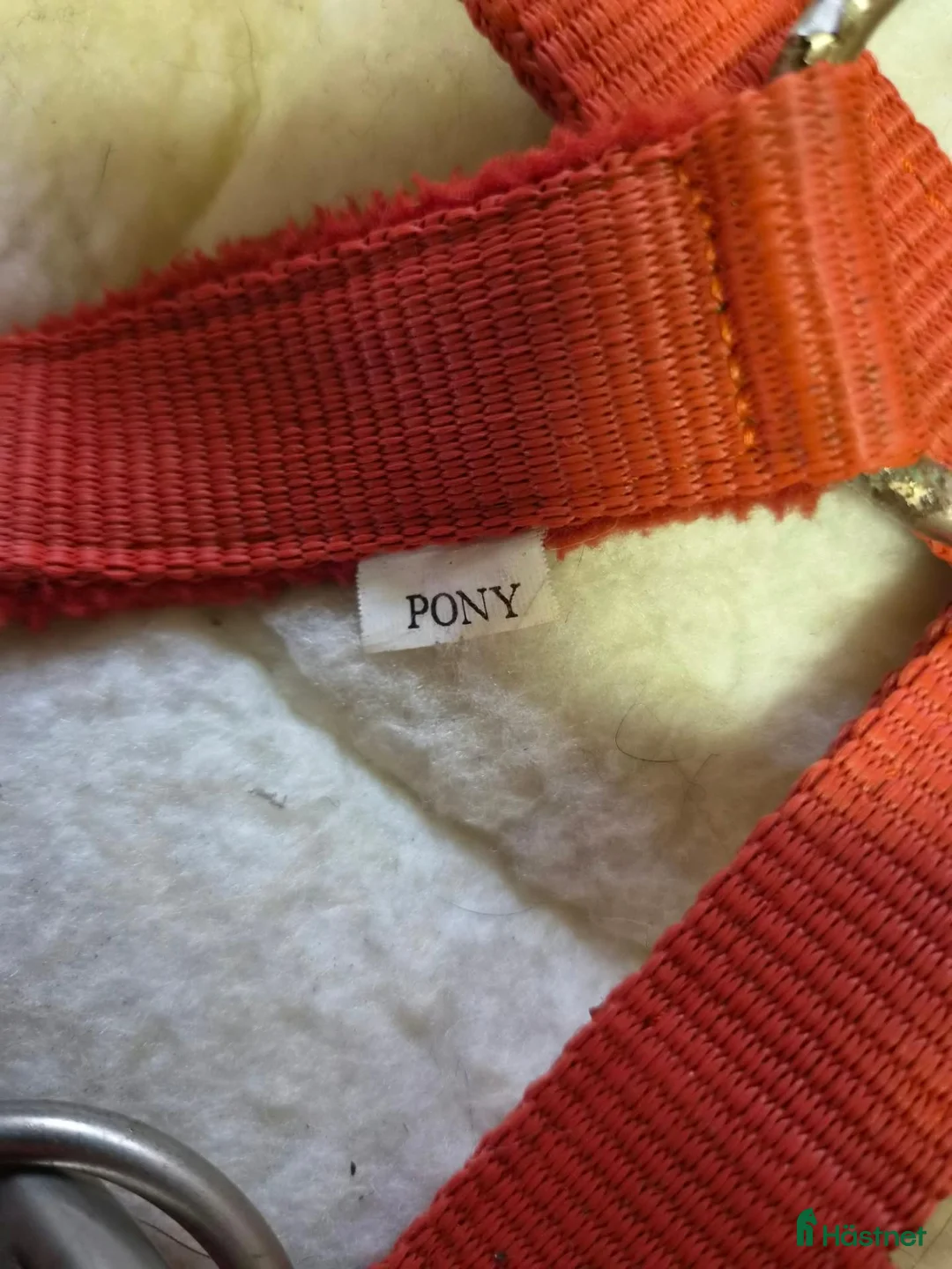 Övrig Hästutrustning hästutrustning till salu: Röd grimma storlek pony.  - Annons 2