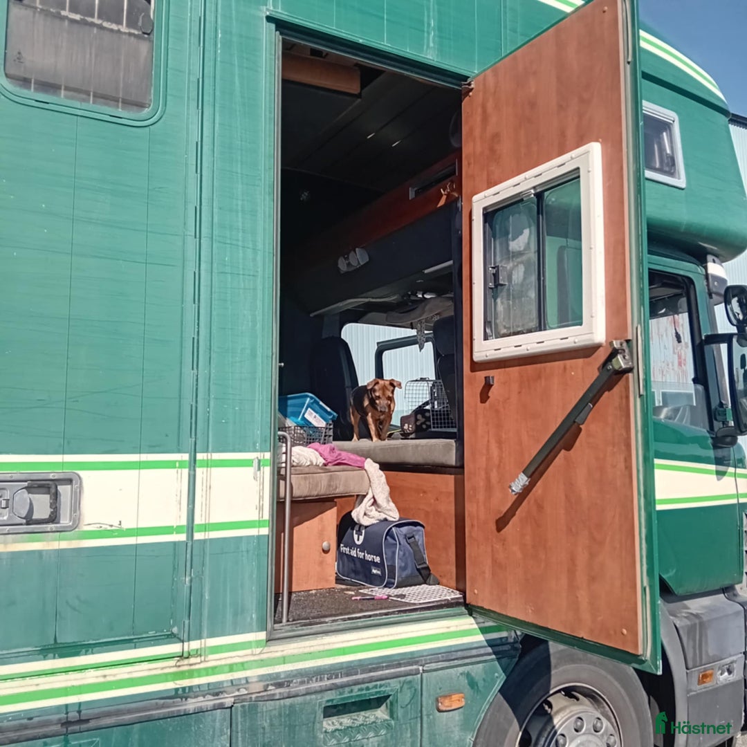 Hästlastbilar  fordon & transport till salu: Scania med flexibel inredning  i Teckomatorp - Annons 12