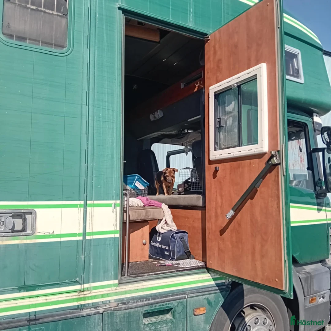 Hästlastbilar  fordon & transport till salu: Scania med flexibel inredning  i Teckomatorp - Annons 12