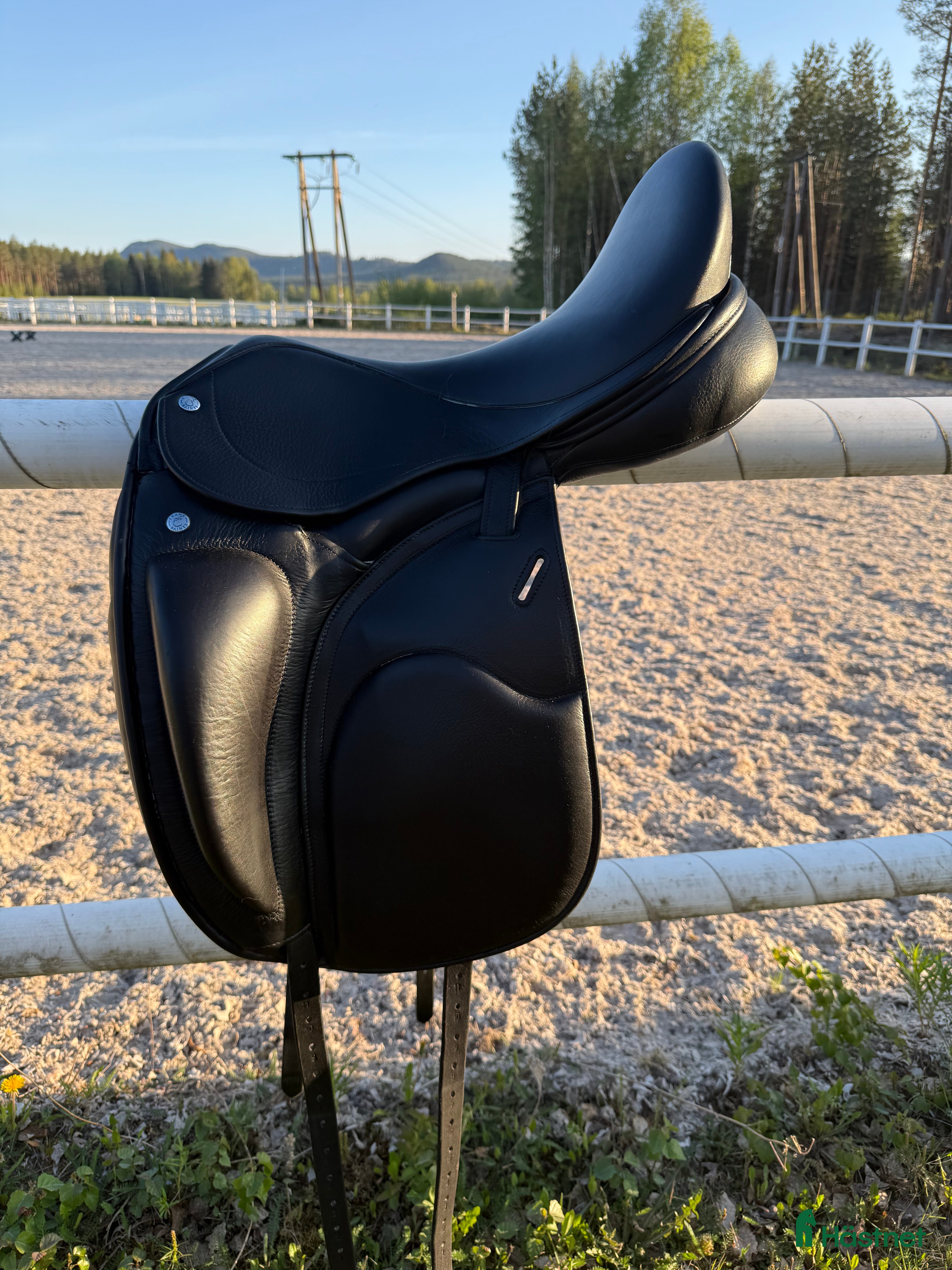 Sadlar hästutrustning frank baines adagio symphony i Stange - Annons 13