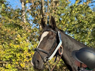 hästar Vi har lediga platser! i Hjärtum - Annons 18