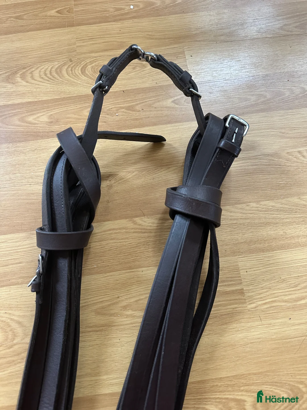 Övrig Hästutrustning hästutrustning till salu: Globus tömkörningstöm - Annons 3