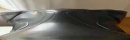 Sadlar hästutrustning till salu: Santa Cruz Merina 17,5” Wide - Annons 6