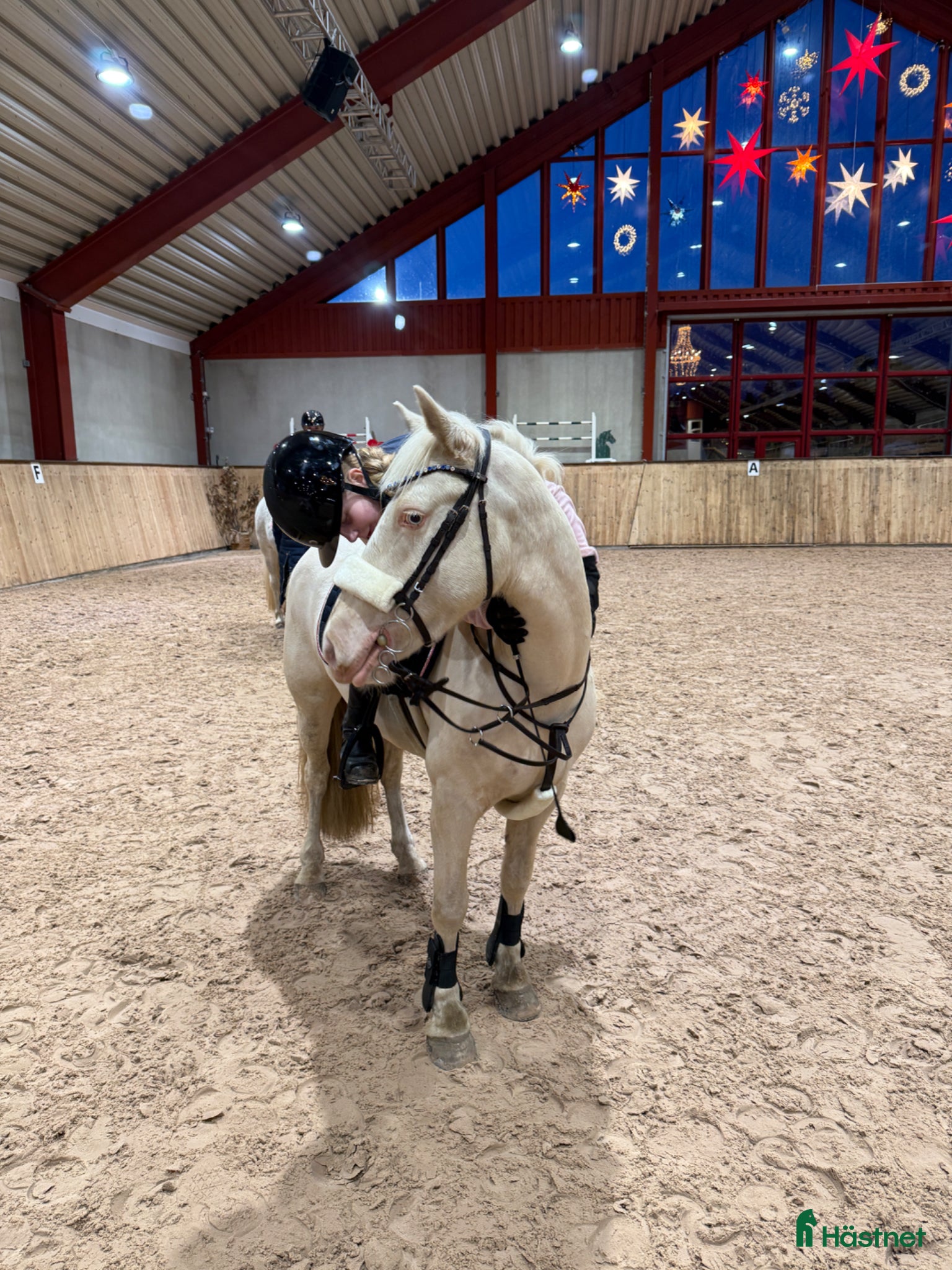  hästar Talangfull drömponny! - Annons 7