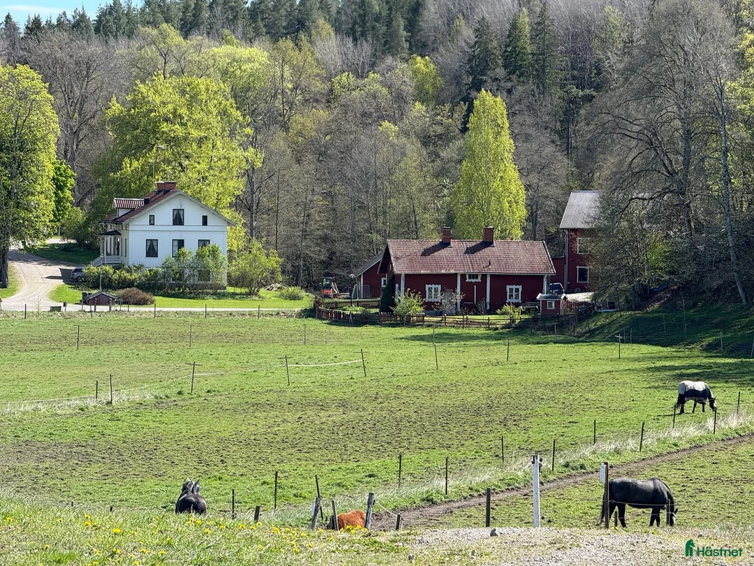  hästgårdar till salu: Anrik djurgård i Östergötland uthyres  i Finspång - Annons 2