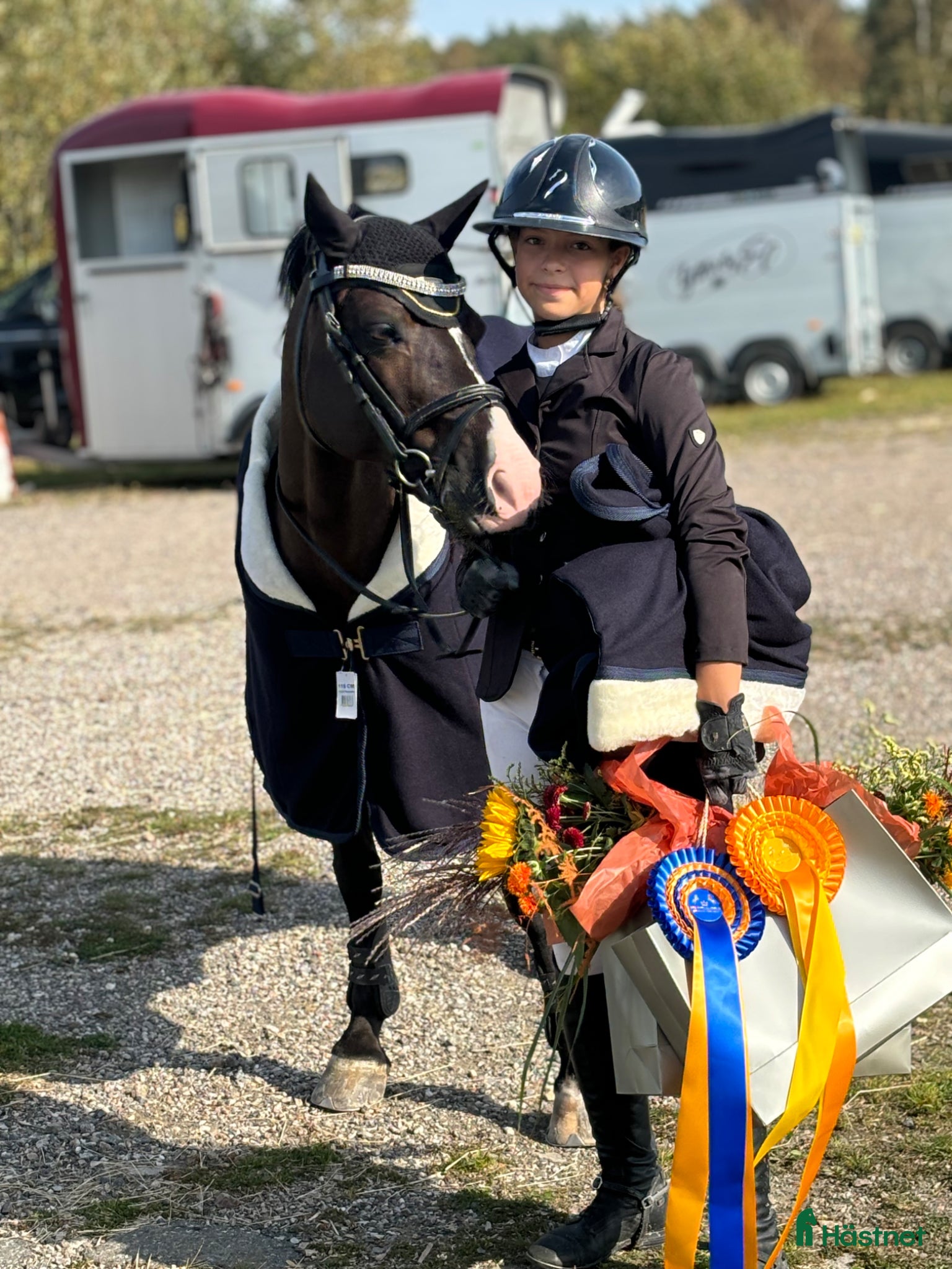  hästar Maxad b-ponny säljes!  - Annons 2