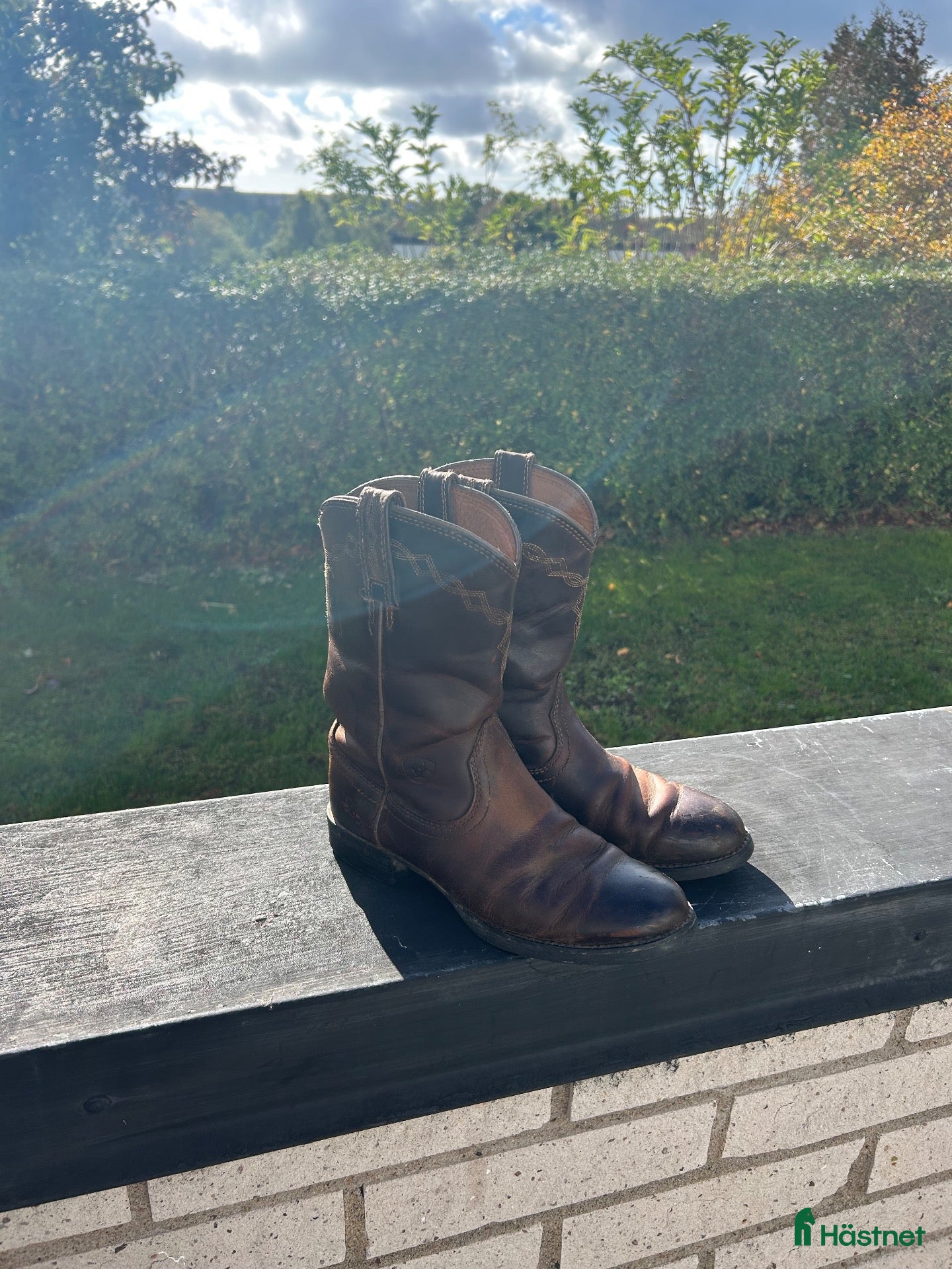 Ridstövlar ryttarutrustning till salu: Ariat Boots - Annons 1
