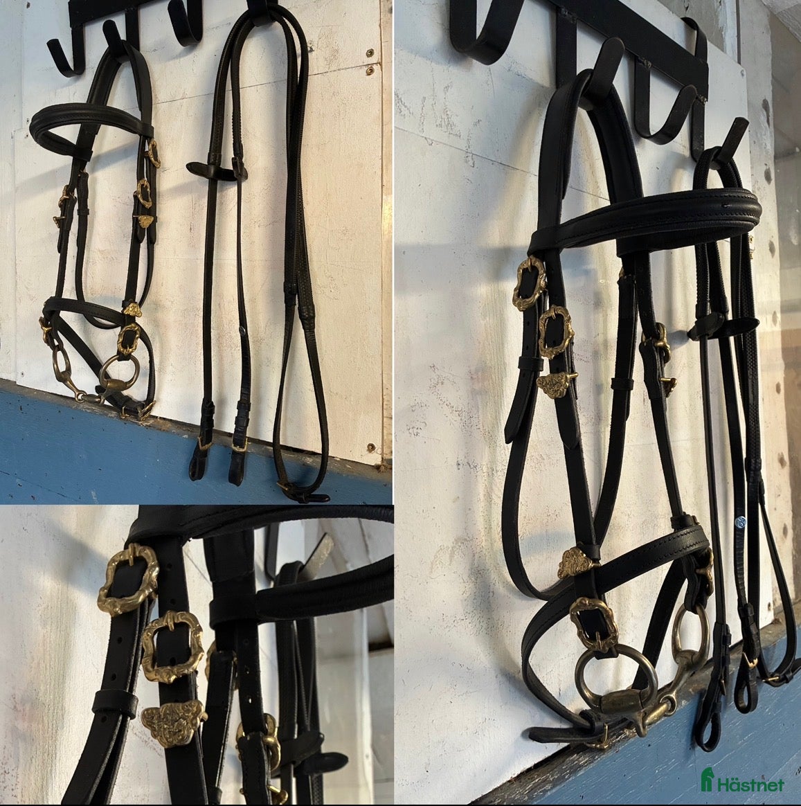 Träns hästutrustning Utställningsträns  - Annons 1