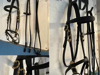 Träns hästutrustning Utställningsträns - Annons 1