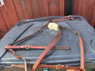 Träns hästutrustning Förbygel med martingal Glen Gordon - Annons 1