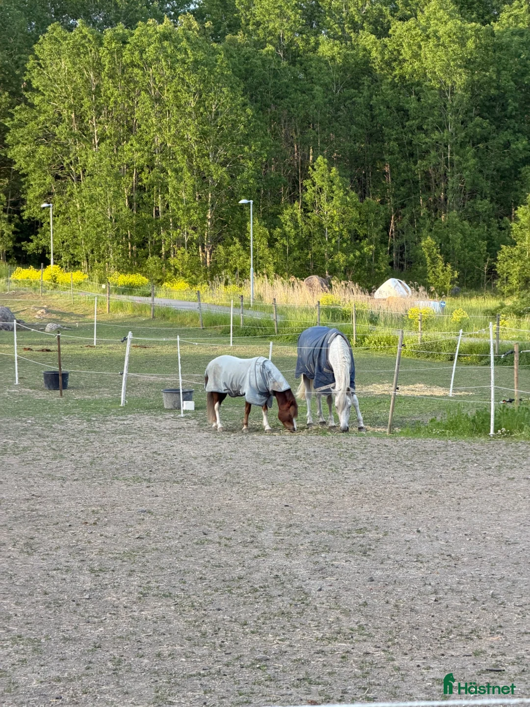  stallplats finnes: Stallplats på Smedby gård Åkersberga  - Annons 2