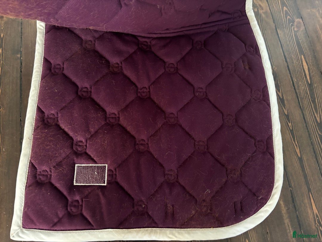 Schabrak & Vojlockar hästutrustning till salu: Dressyrschabrak equestrian Stockholm full i Sollentuna - Annons 3