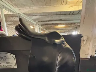 Sadlar hästutrustning Sadel Prestige - Annons 15