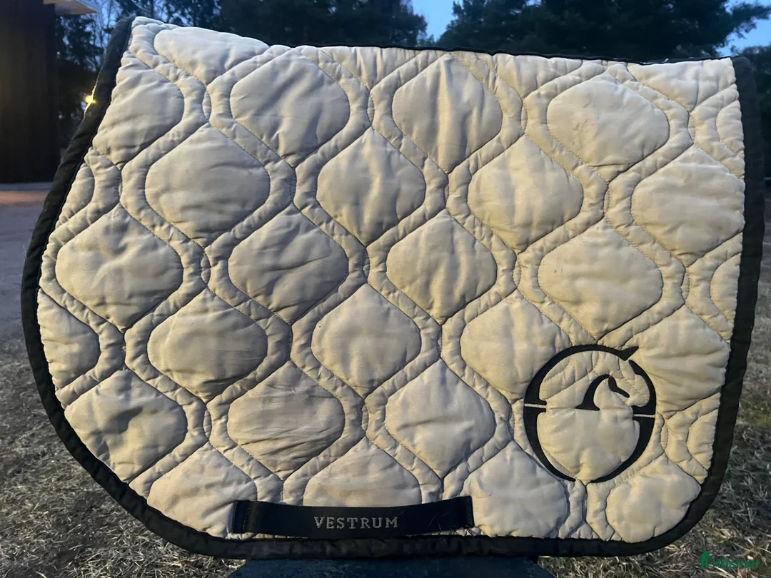 Schabrak & Vojlockar hästutrustning till salu: Vestrum schabrak - Annons 1