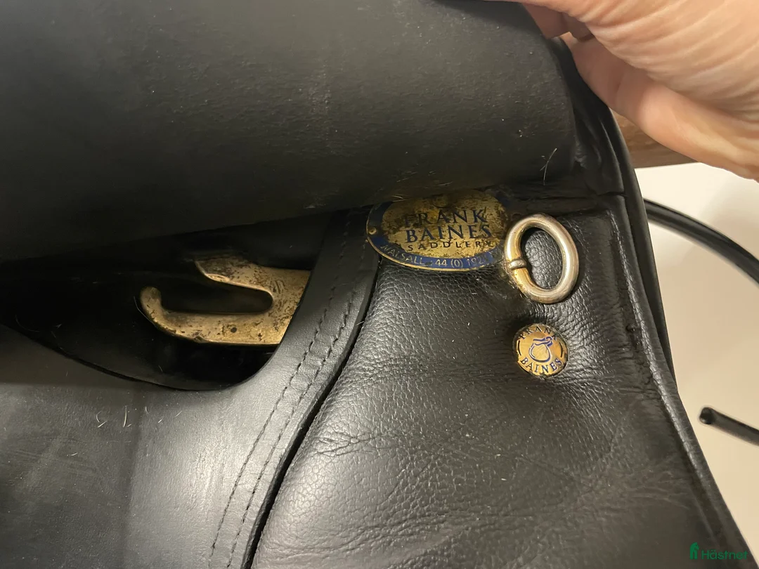 Sadlar hästutrustning till salu: Bekväm Frank Baines i fint skick i Gamleby - Annons 5