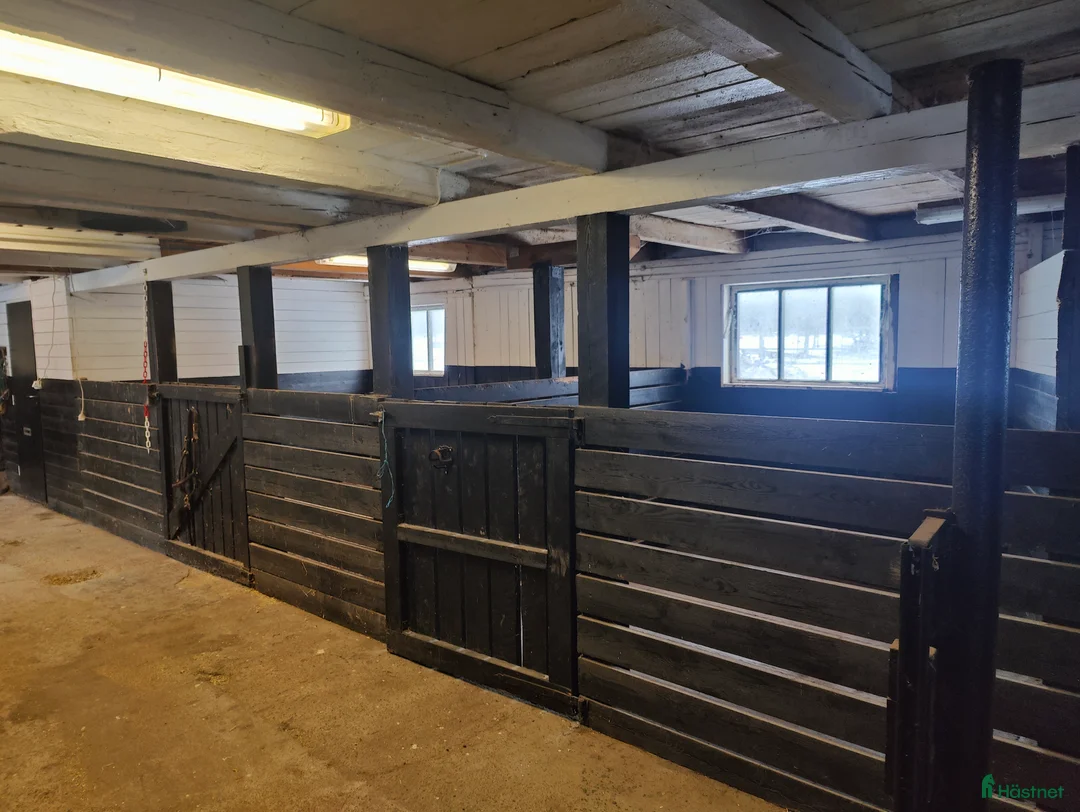  stallplats finnes: Stallplats i Koverhult i Mönsterås - Annons 3