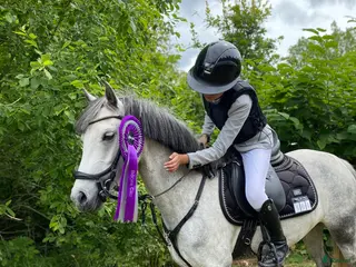 hästar Lovande Kulltorpssto i Lagan - Annons 5