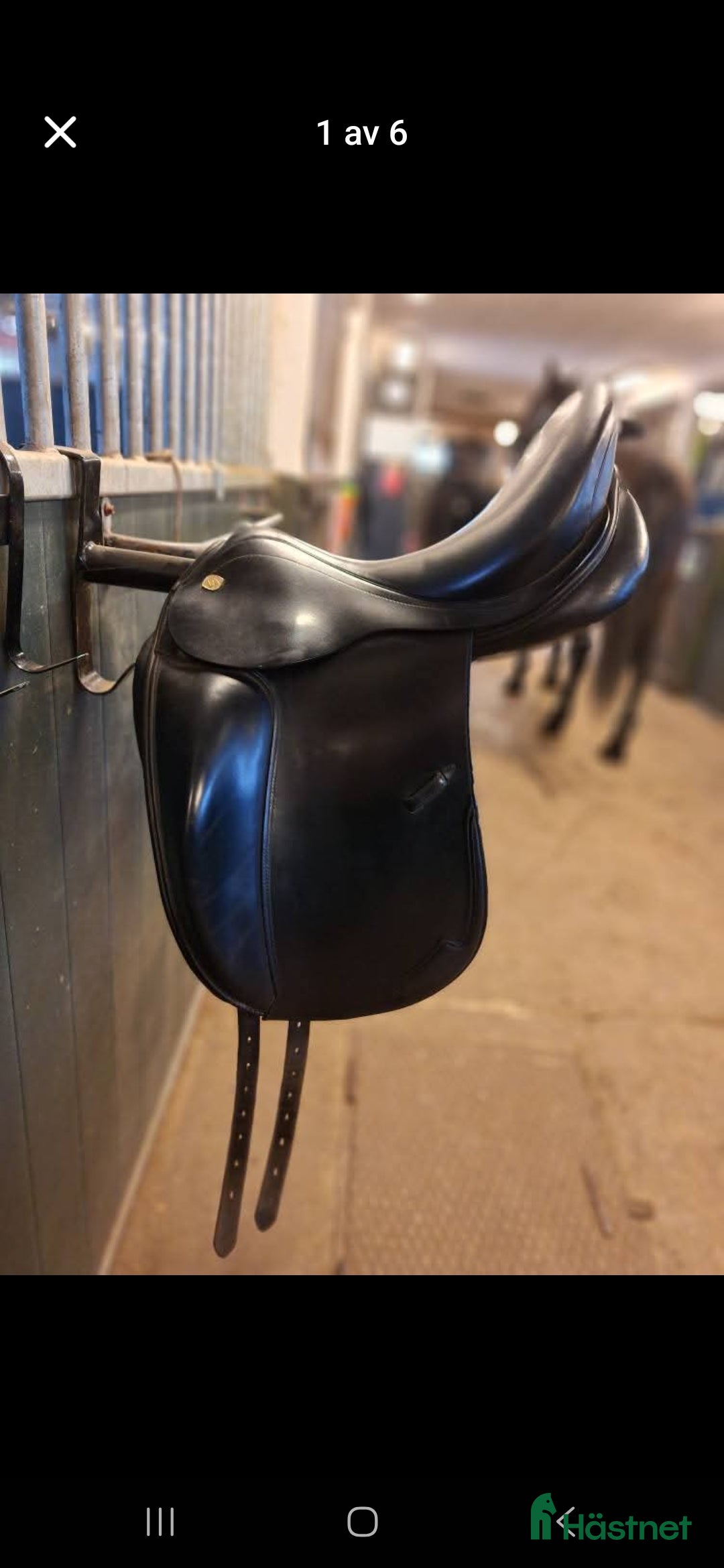 Sadlar hästutrustning Nyomstoppad prestige sadel - Annons 1