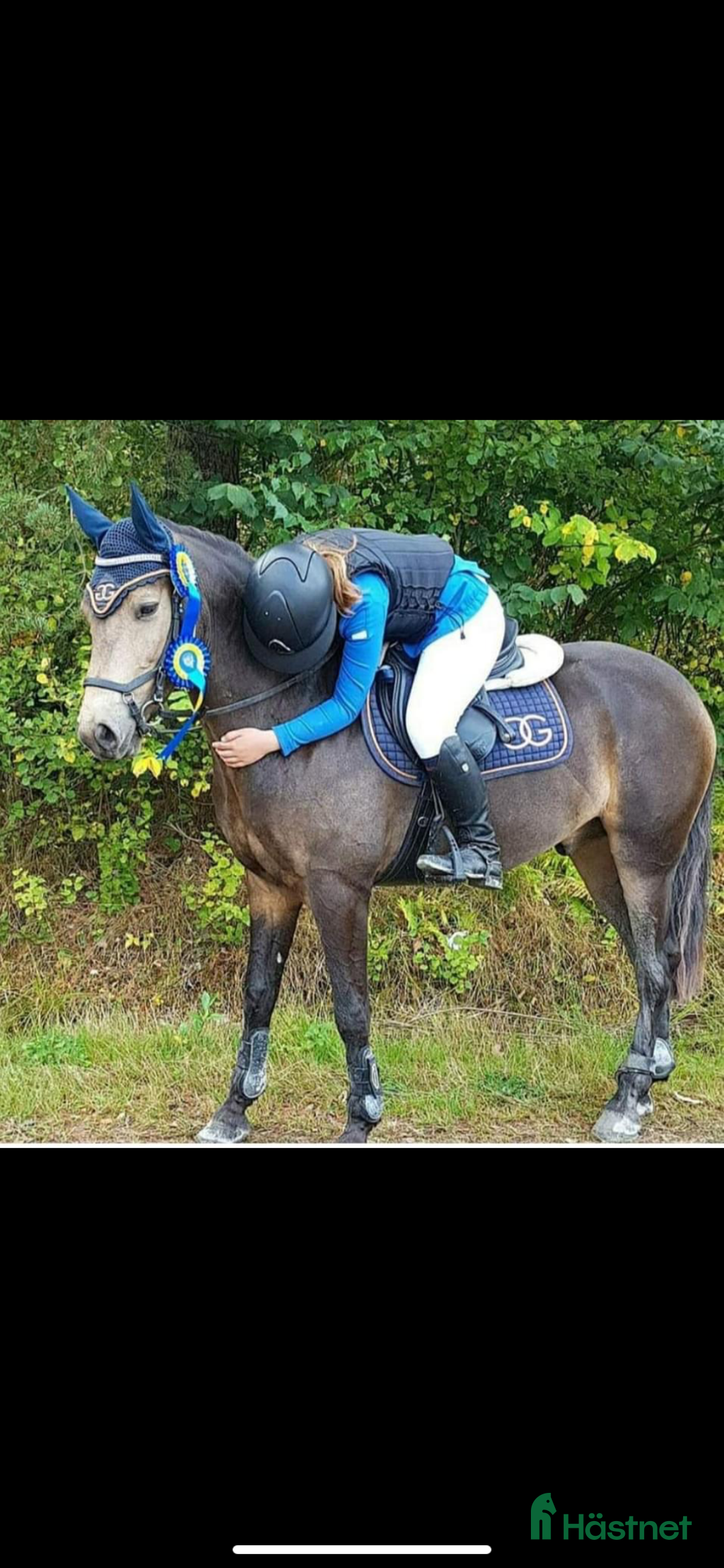  hästjobb finnes: Tillridning  i Munkedal - Annons 4