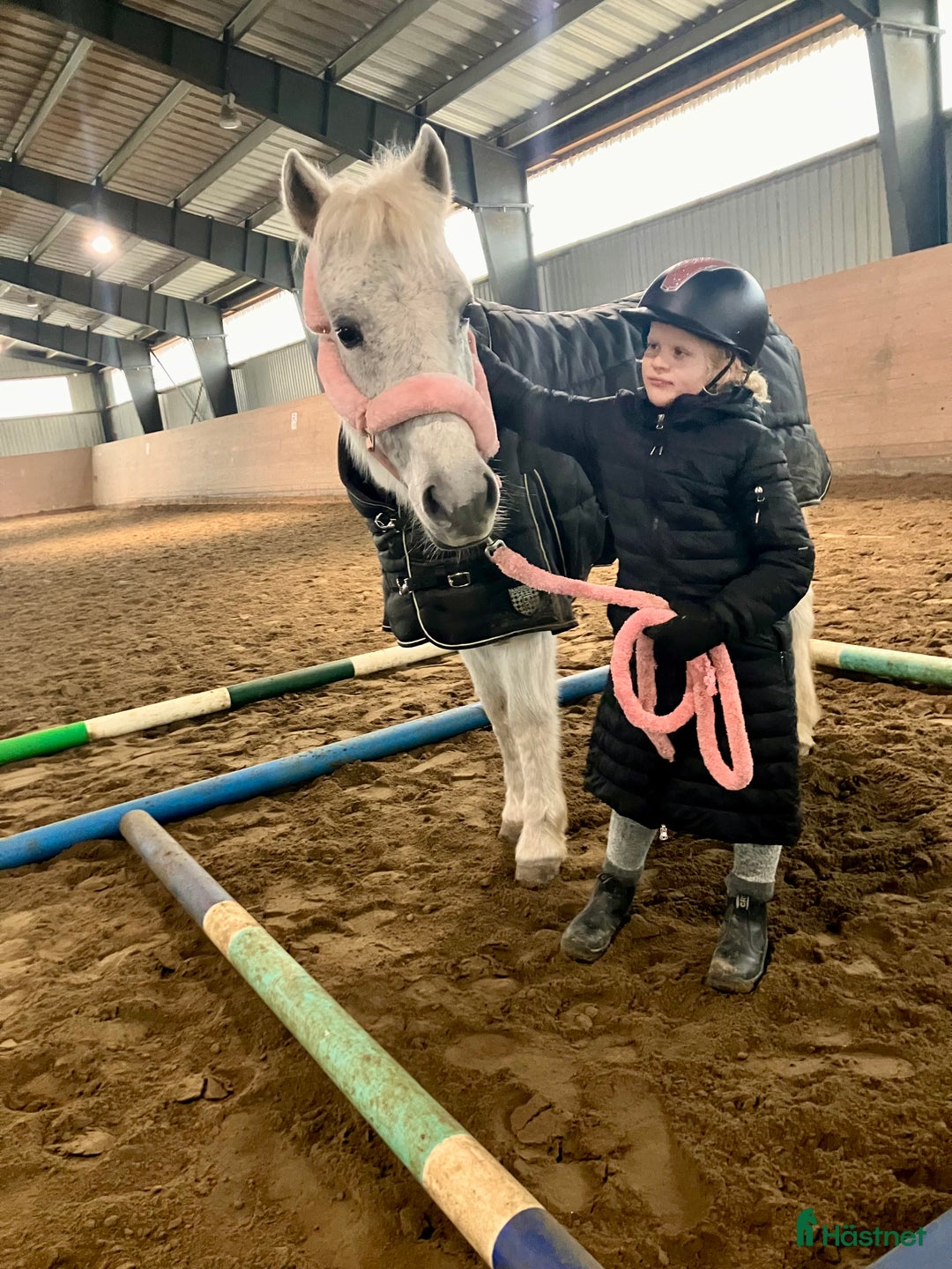 Allround hästar till salu: Supersnäll c-ponny i Säve - Annons 2