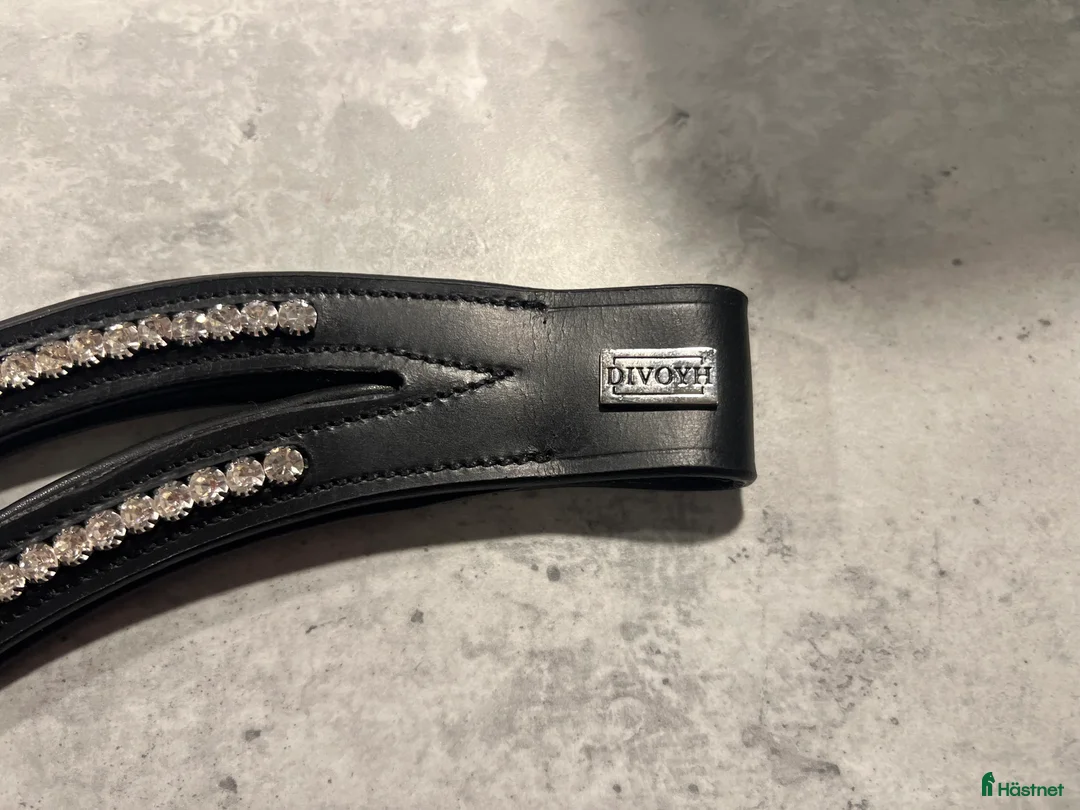 Träns hästutrustning till salu: Divoyh pannband modell Tryde silver i Falun - Annons 3