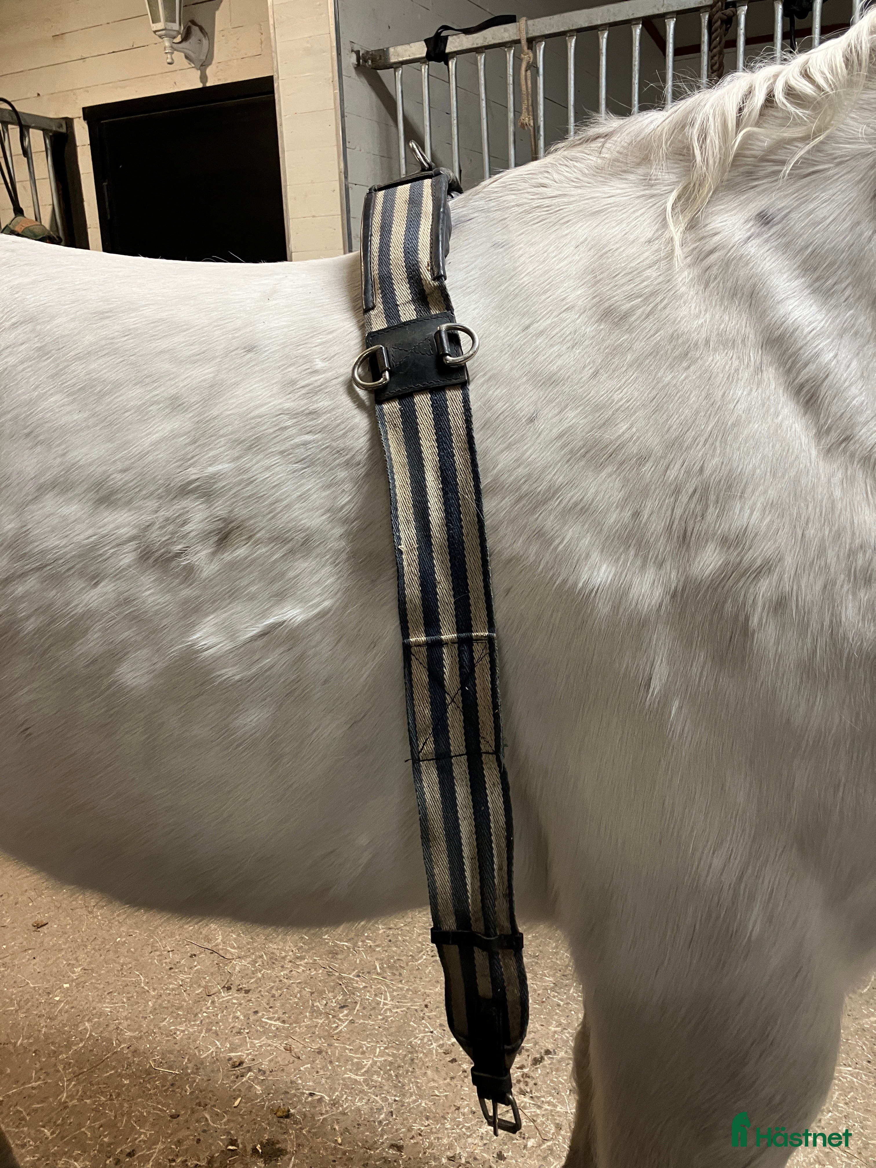 Övrig Körutrustning körning till salu: Tömkörningsgjord stl cob i Vintrosa - Annons 11