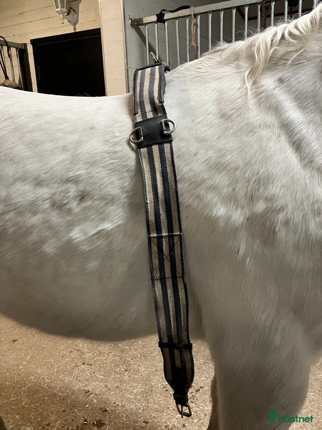 Övrig Körutrustning körning till salu: Tömkörningsgjord stl cob i Vintrosa - Annons 1