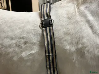 Övrig Körutrustning körning till salu: Tömkörningsgjord stl cob i Vintrosa - Annons 2