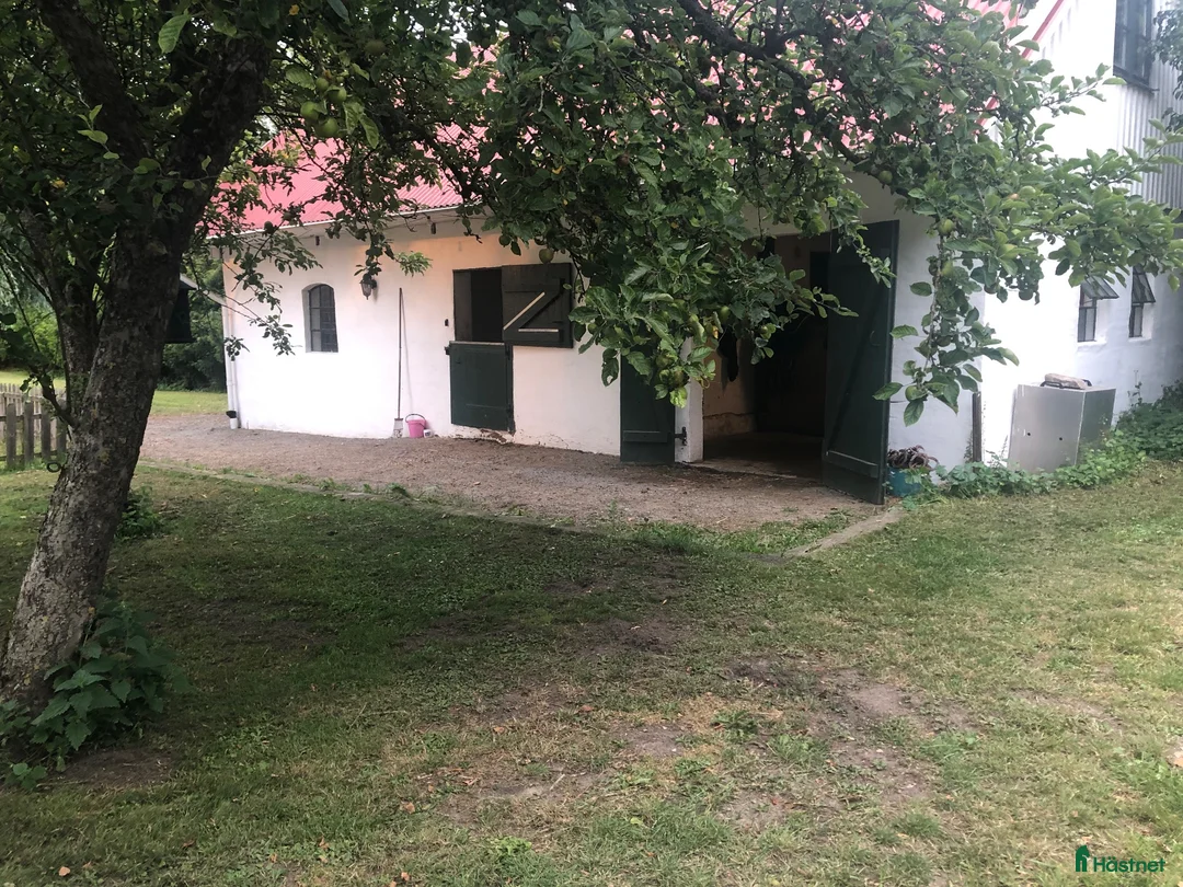  stallplats finnes: Boxplats ponny / islandshäst - Annons 1