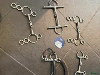 Bett hästutrustning Massa bett för bra pris i Lerum - Annons 5