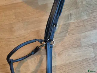 Övrig Hästutrustning hästutrustning Lädergrimma - Annons 4