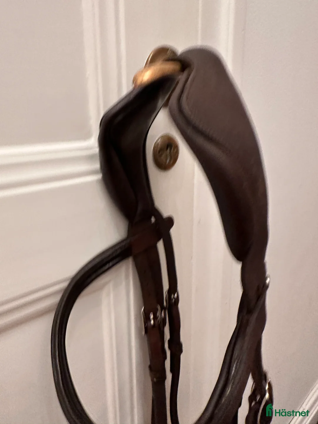 Träns hästutrustning till salu: Antares - precision Y-nosgrimma i Stockholm - Annons 11