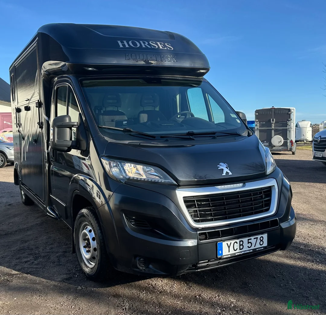 Hästlastbilar  fordon & transport till salu: Pegueot Equitrek Atom - Annons 2