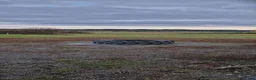  stallplats finnes: Lösdrift ledig - Annons 4