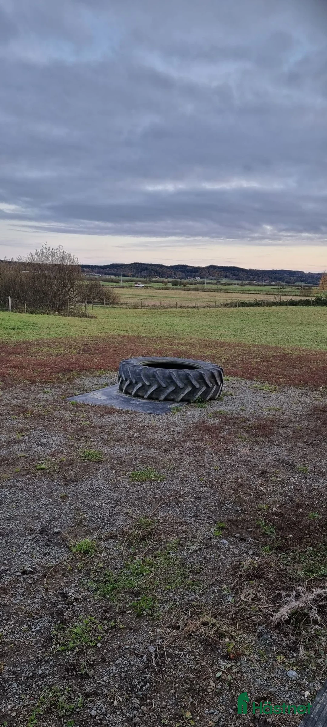  stallplats finnes: Lösdrift ledig - Annons 4