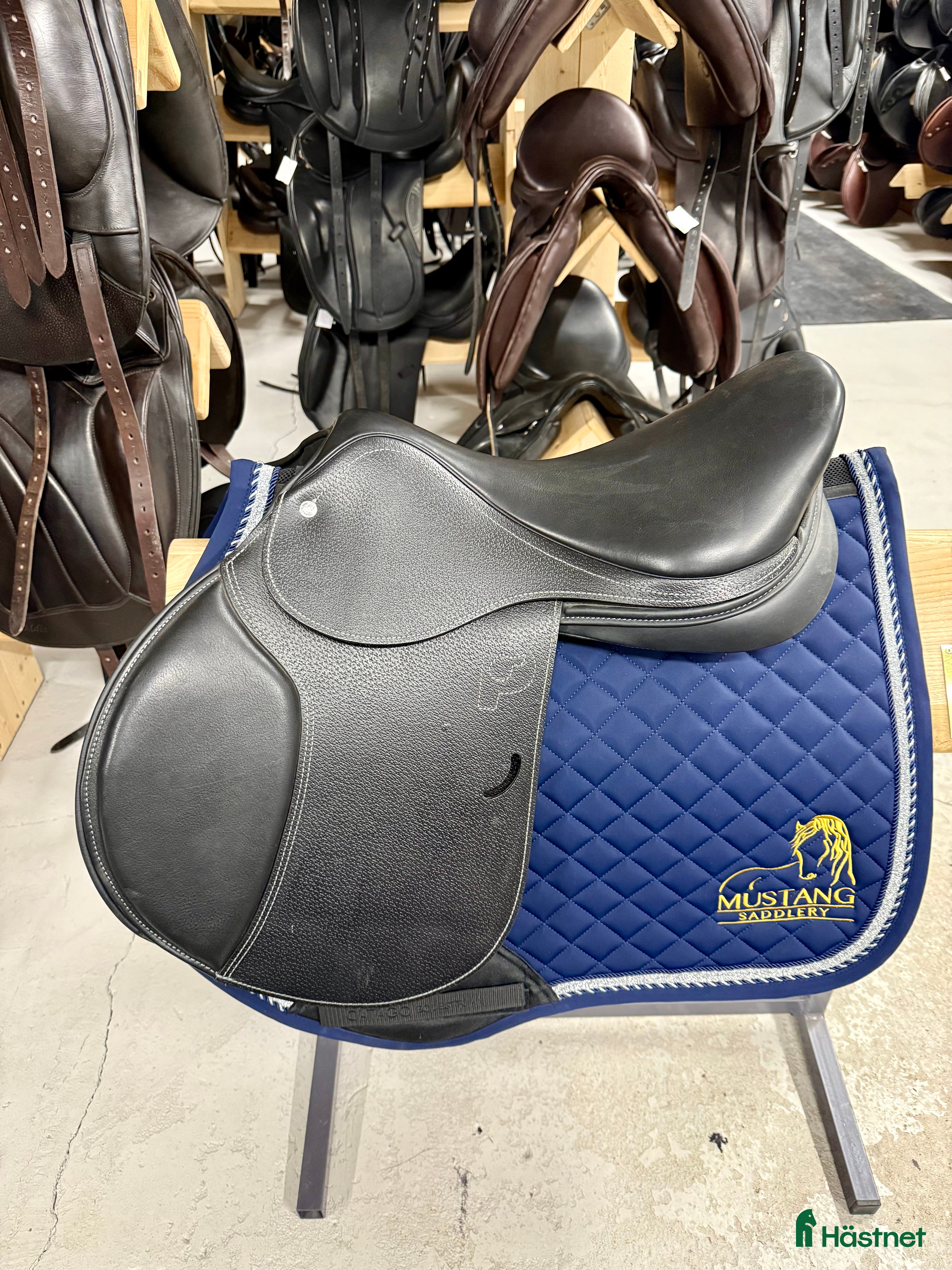 Sadlar hästutrustning till salu: REA 50% Pariani Oxer Hopp i Knivsta - Annons 22