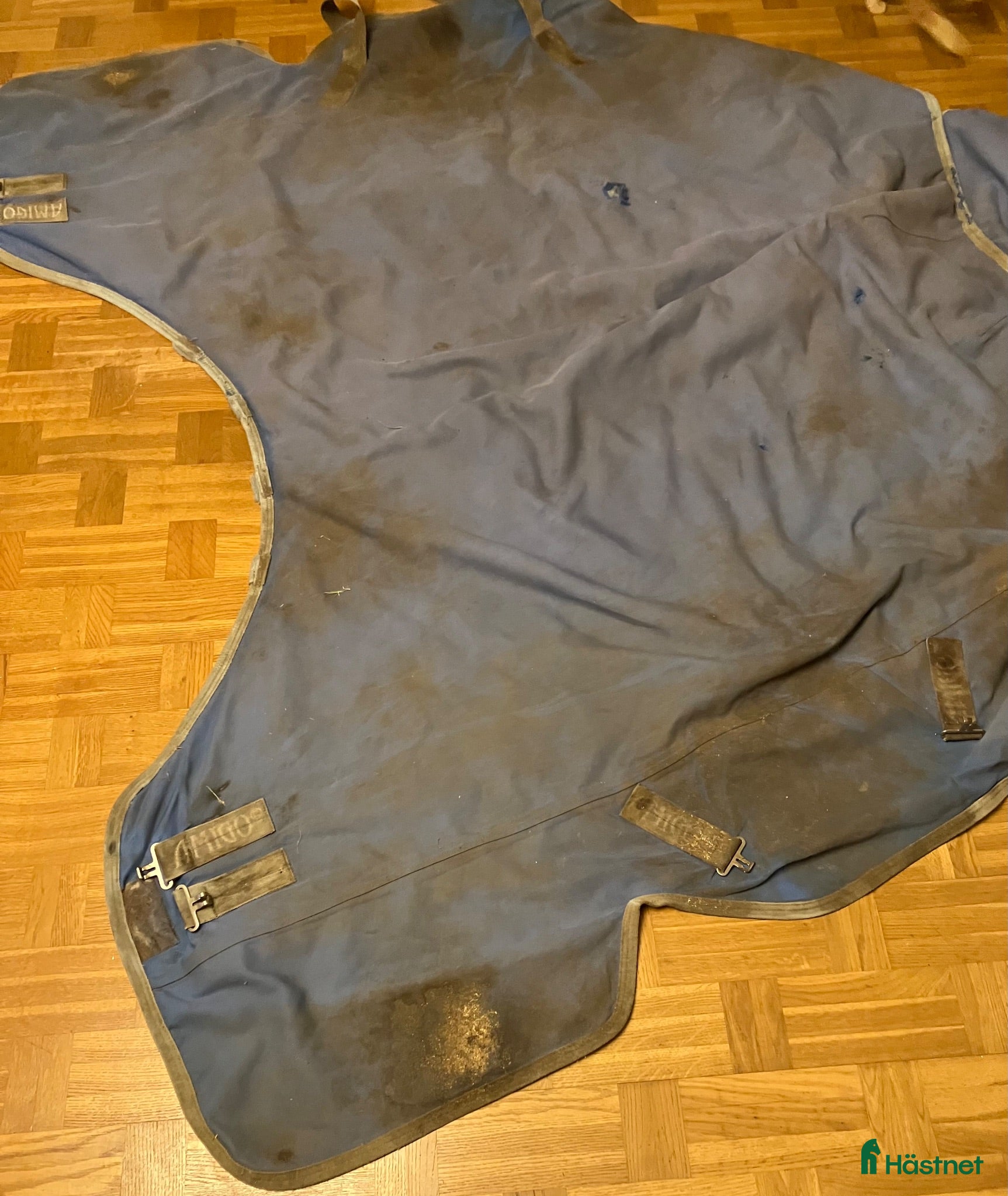 Täcken hästutrustning Horseware Amigo - Annons 8