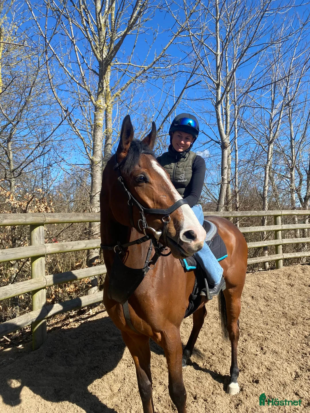 Allround hästar till salu: Happy - Annons 2