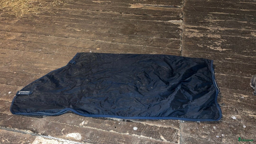 Täcken hästutrustning till salu: Blandade täcken storlek 155 i Sandared - Annons 6