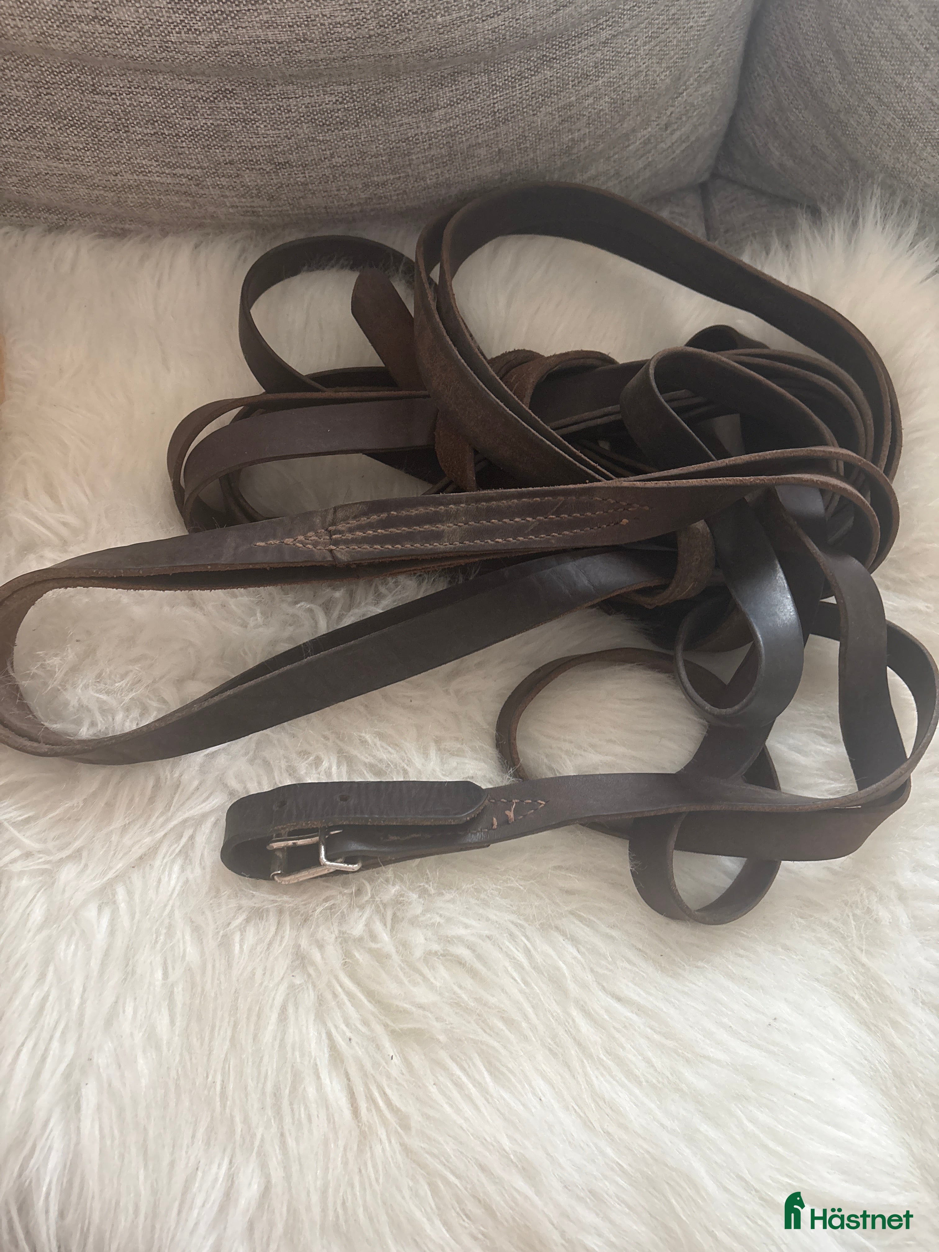 Övrig Körutrustning körning till salu: Tömmar  i Älgarås - Annons 1