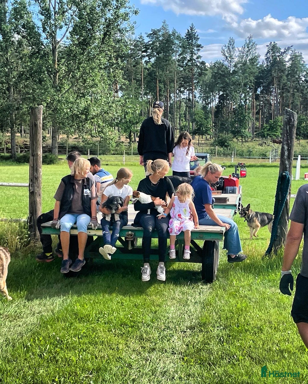  hästjobb finnes: Lundbäck & Cristofoletti letar duktighästskötare ! i Norrköping - Annons 15