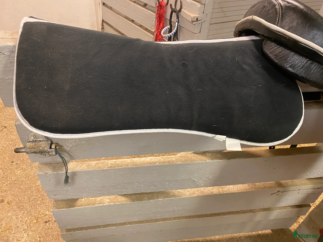 Sadlar hästutrustning till salu: Taur gaiter III i Färila - Annons 9