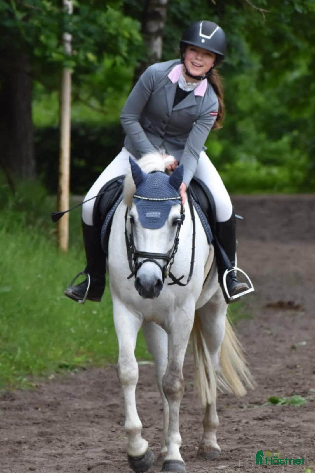 Hoppning hästar till salu: Conemara sport pony i Stockholm - Annons 5