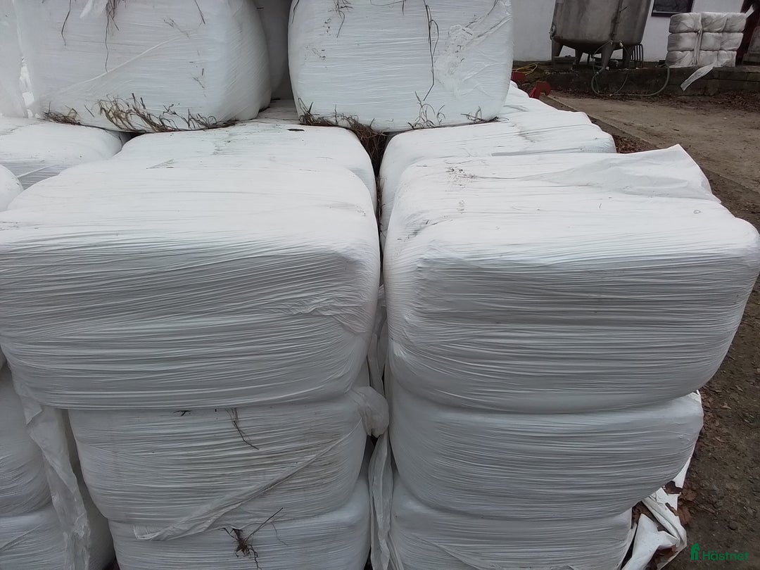 Övrig utrustning övrig utrustning till salu: Hösilage o halm i småbal i Hörby - Annons 2