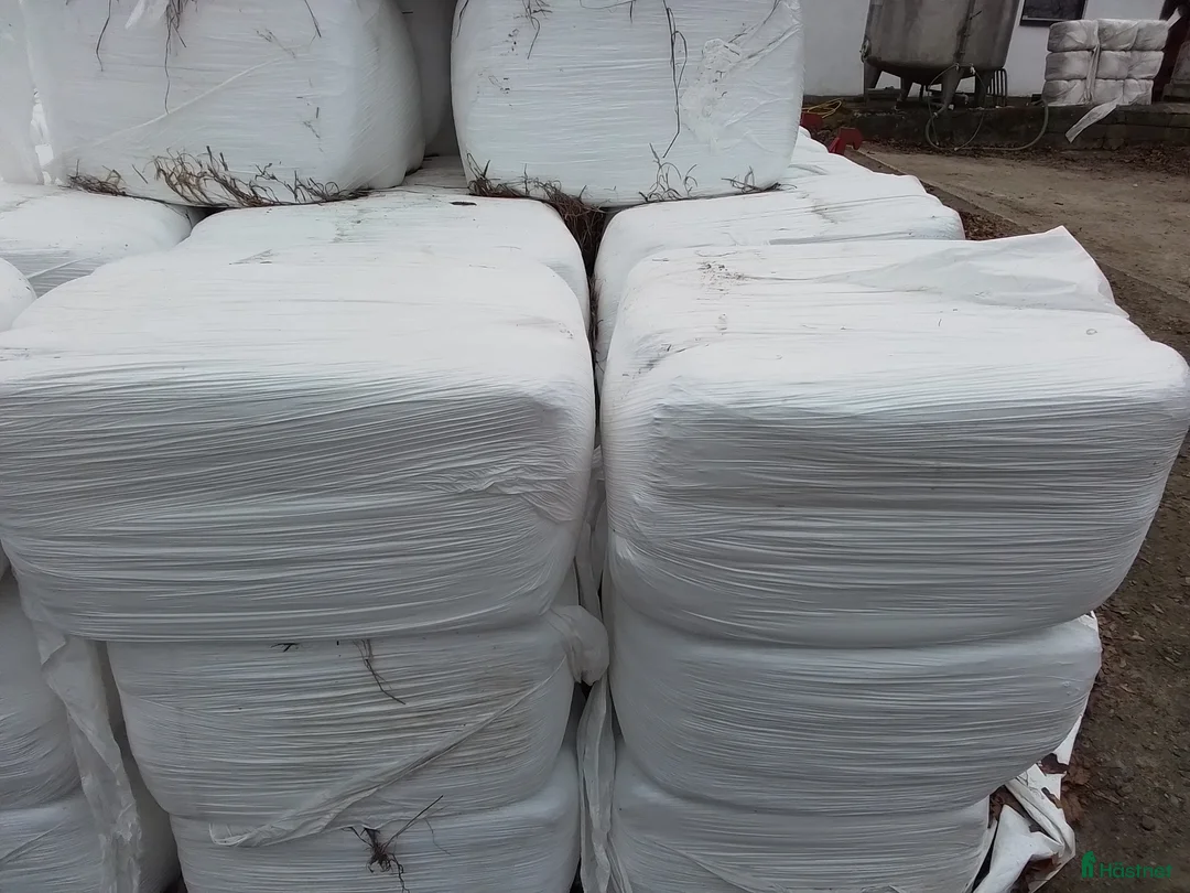 Övrig utrustning övrig utrustning till salu: Hösilage o halm i småbal - Annons 2