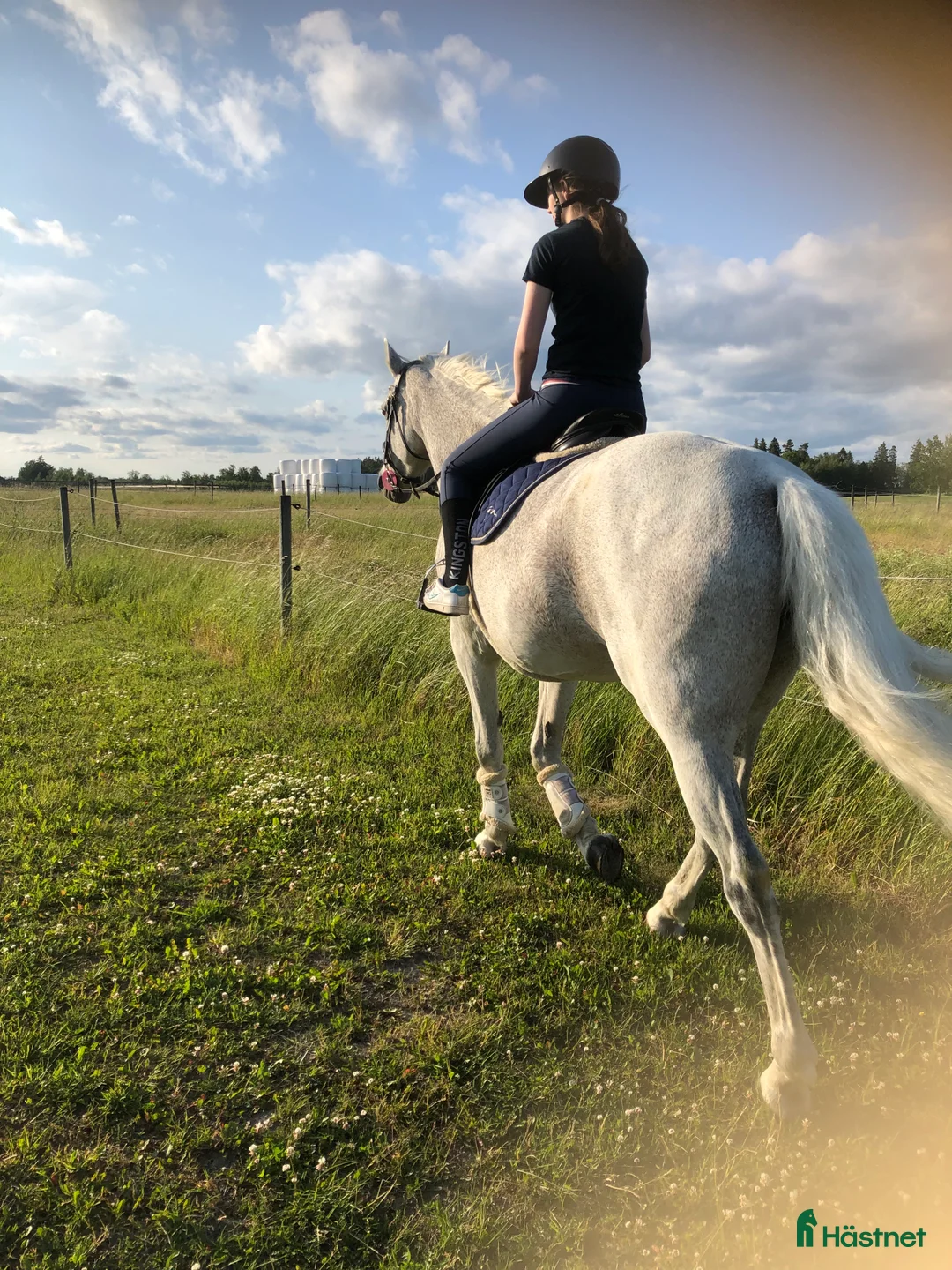  hästservice finnes: Inridning / tillridning / tävling  i Stigtomta - Annons 2