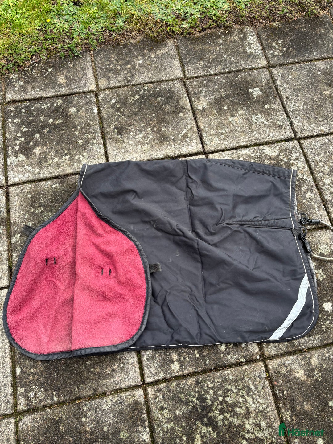 Övrig Hästutrustning hästutrustning till salu: Ländtäcke  i Linghem - Annons 2