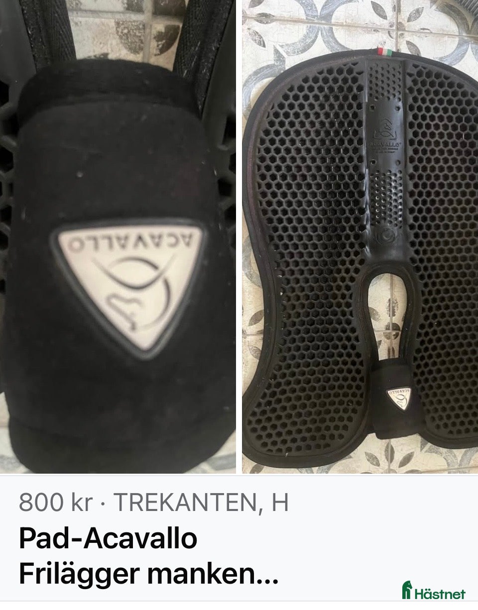 Sadeltillbehör hästutrustning Pad Acavallo - Annons 13