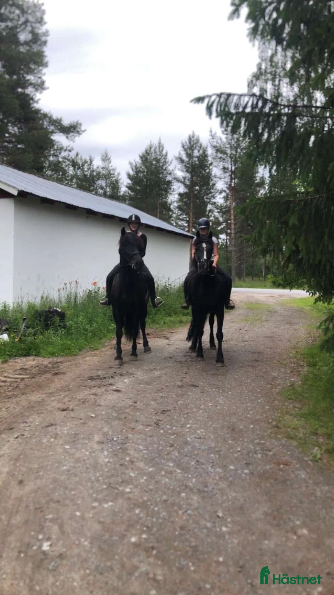 Galleribild {{count}}